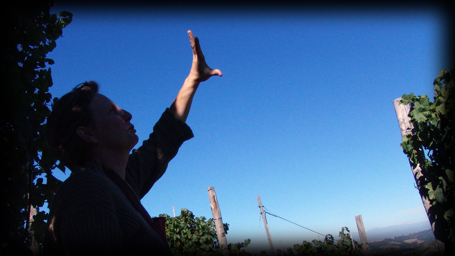Nicoletta Bocca tra i filari, con la mano alzata verso il cielo